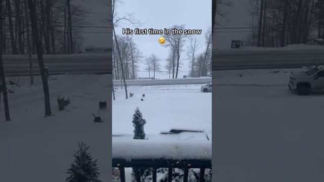 Быстрый спуск смотреть онлайн