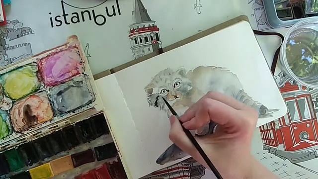 Watercolor Manul
