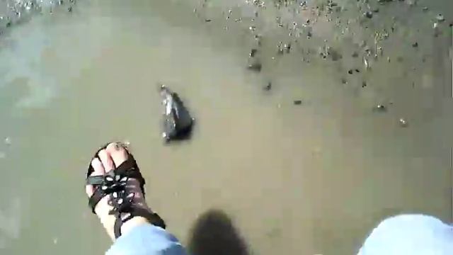 Снов Осколки ролик смотреть онлайн