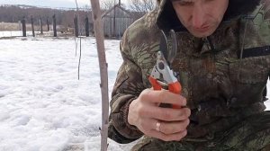 Первая обрезка черешни по системе KGB .