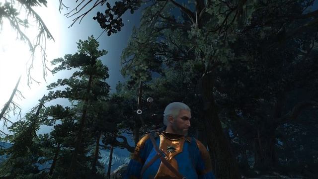 Witcher 3 | 4K SHOWCASE - Skellige | WINDOWS 10 | ULTRA + HAIRWORKS 60 FPS | TITAN X SLI OC | смотреть онлайн