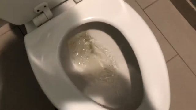 7: Crappy gerber toilet смотреть онлайн