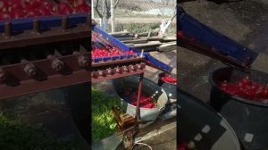 Изготавливаем сеялки и машинки для чистки редиски.Видео от покупателей и подписчиков.