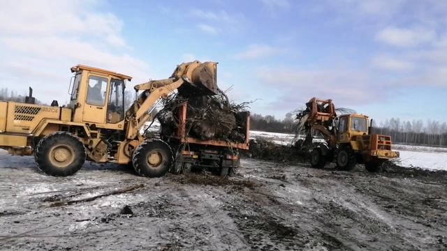 Работаем на Мазе в мороз - 20 на Мелиорацие.Маз 5516 на севере Беларуси смотреть онлайн