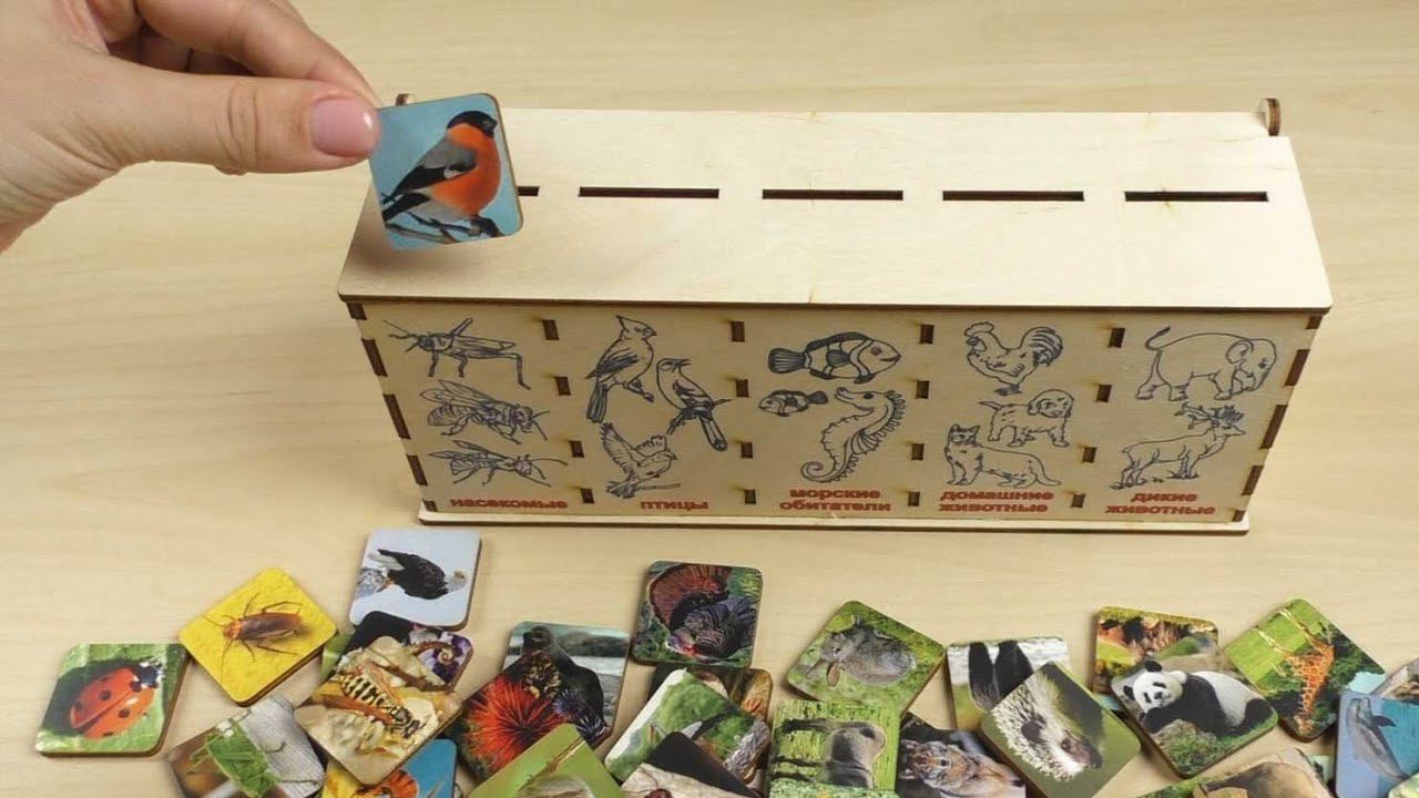 Сортер животный мир смотреть онлайн