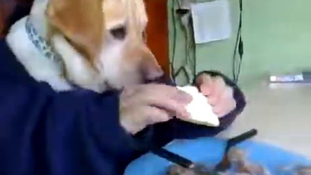 Старое но меня вообще прикалывает) смотреть онлайн