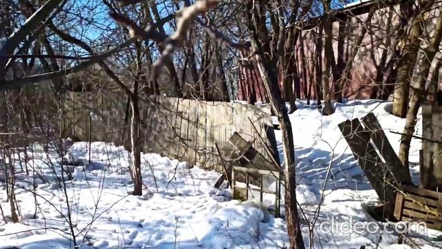 Участок СНТ ПЭМЗ-1 смотреть онлайн