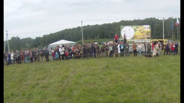 12 Всероссийская выставка охотничьих собак г. Тула 2017 г. смотреть онлайн