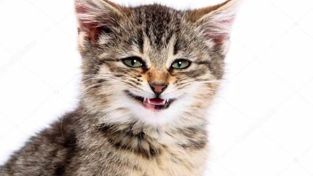 БИБЛИЯ ОБ ИСЦЕЛЕНИИ смотреть онлайн