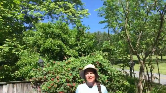 Nancy Lawson Invites Us To Her Garden