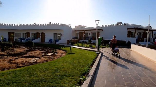 Отель Albatros Sharm 4*/Beach Albatros Resort/Pickalbatros, Египет, Шарм Эль Шейх