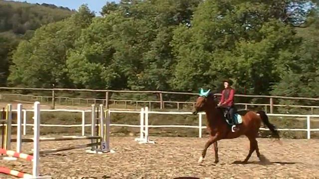 Nina Leová a Sonet - 60cm (1. místo) смотреть онлайн