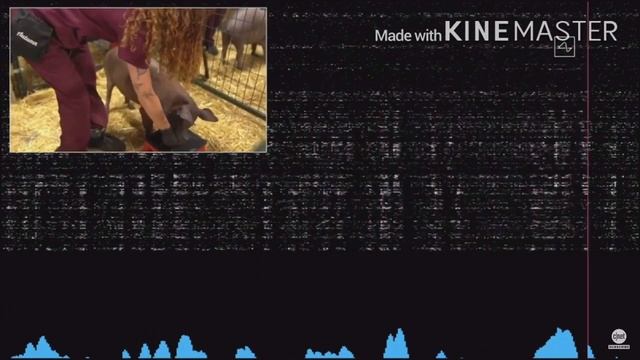 Нейролинк/Neuralink - Презентация Илона Маска на русском (08/28/2020)