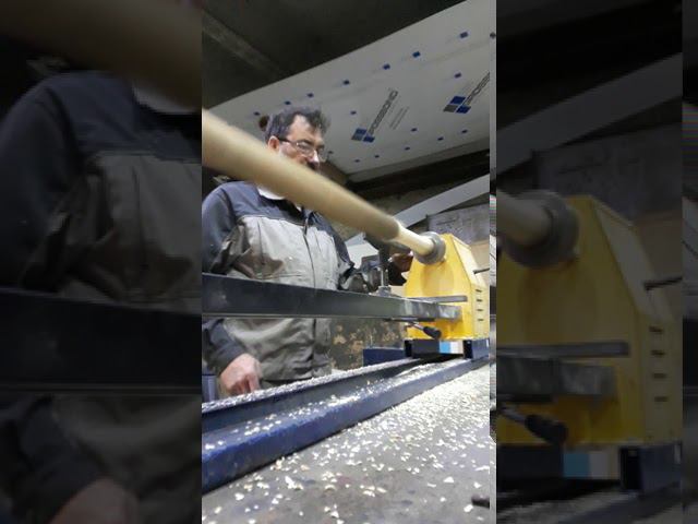 Выводил рейер