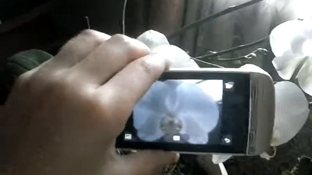 как нужно держать камеру чтобы ваше видео на комп. было не перевёрнутым смотреть онлайн