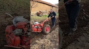 Зимна оран с мотоблок МТЗ Беларус012 с двигател УД 25