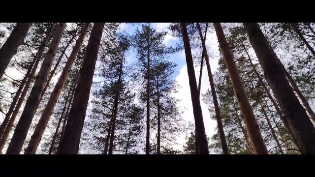 Нефтекамск. Лес смотреть онлайн