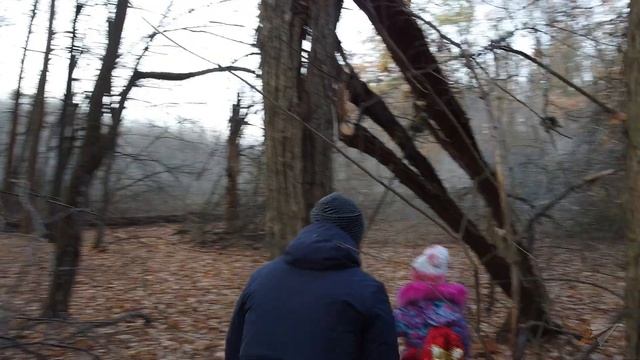 Великоанадольский лес / Путешествие к "ПЕРВОЙ" поляне / Осень 2020 смотреть онлайн