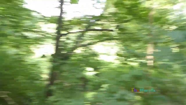 Opole ZOO parking dojście. Ogród Zoologiczny w Opolu - gdzie zaparkować? смотреть онлайн