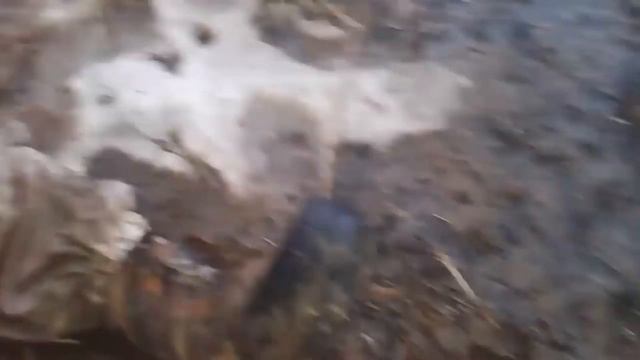 не нужна тебе такая машина брат поверь мне на слово смотреть онлайн