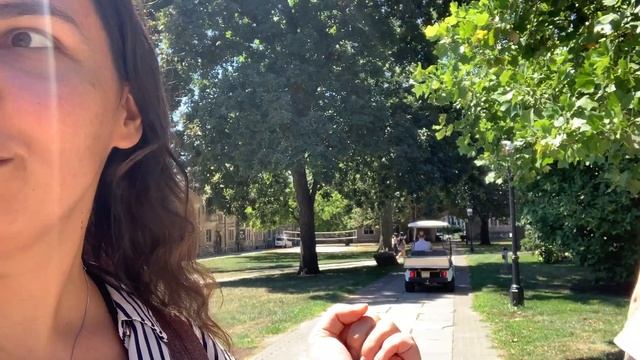 ПРИНСТОН. АМЕРИКАНСКИЙ ГОРОДОК И УНИВЕРСИТЕТ МЕЧТЫ. смотреть онлайн