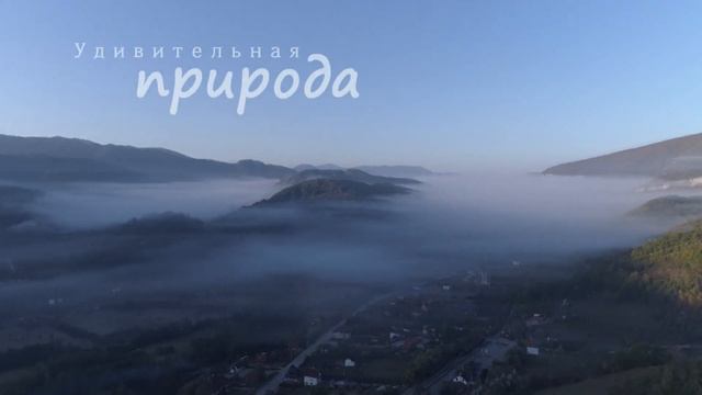 Кустурица позвал россиян в Республику Сербскую смотреть онлайн