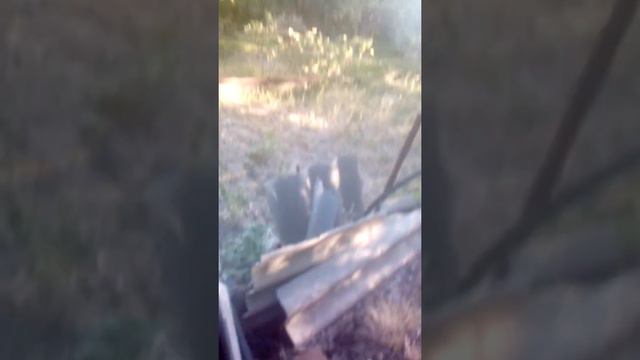 Прадаётся дача каминая яруга харьков номер телефона 0668700337 0971917472 смотреть онлайн