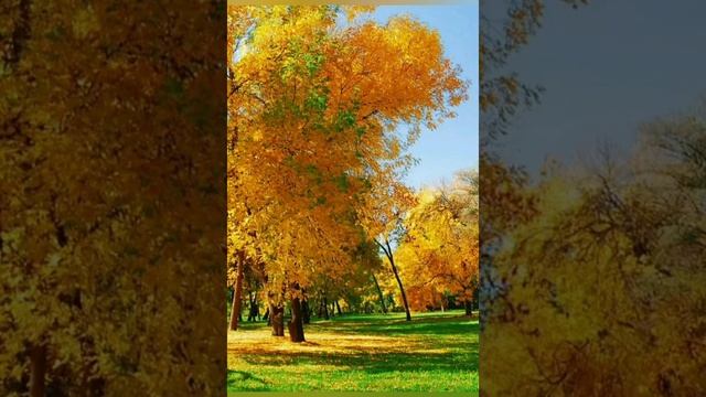 С Днем рождения в октябре! Поздравление с Днем рождения! смотреть онлайн