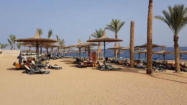 Reef Oasis Blue Bay Resort&Spa #пляж#Шарм Аль Шейх смотреть онлайн