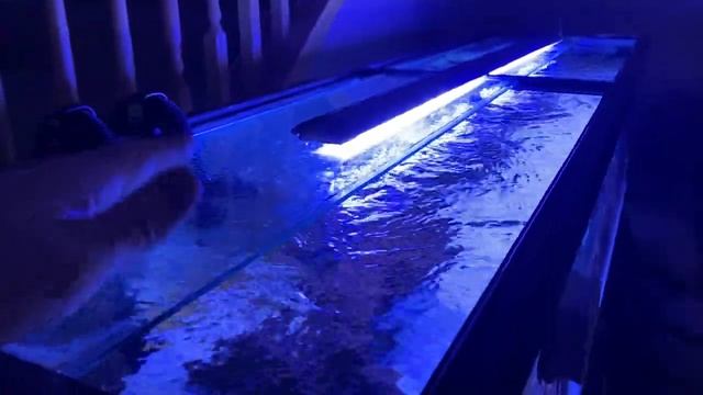 No lids on saltwater tank? Saltwater tank update May 2022 смотреть онлайн