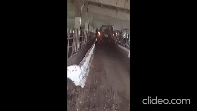вечерком 20.06 смотреть онлайн