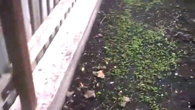 Профессиональная защита участка от кротов смотреть онлайн