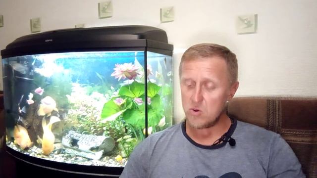 Г. Х. Андерсен. Гадкий утёнок