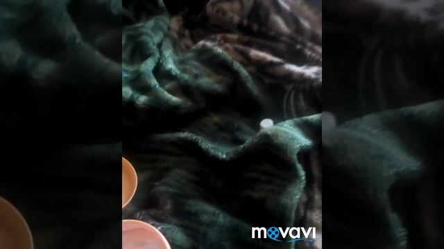 Лайфхаки для здоровья. 4 простых рецепта смотреть онлайн