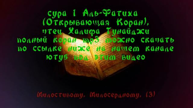 КРАСИВОЕ ЧТЕНИЕ КОРАНА Халифа Тунайджи полный коран смотреть онлайн