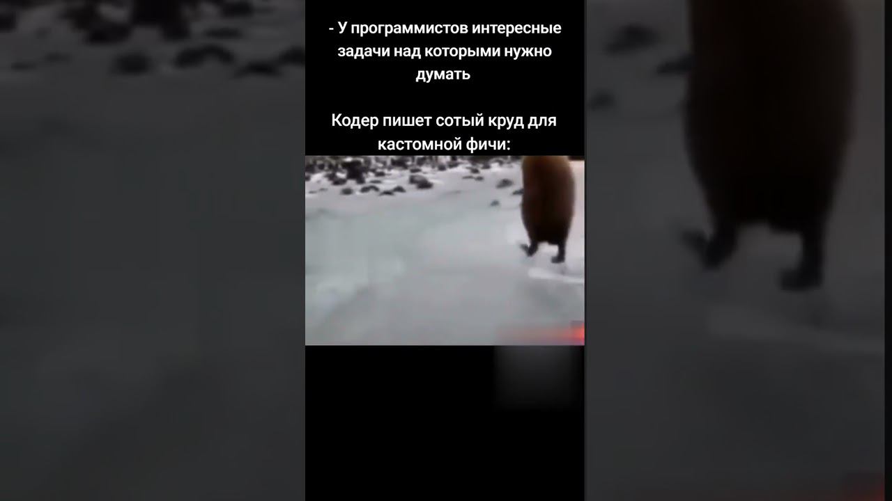 Пингвинёнок смотреть онлайн