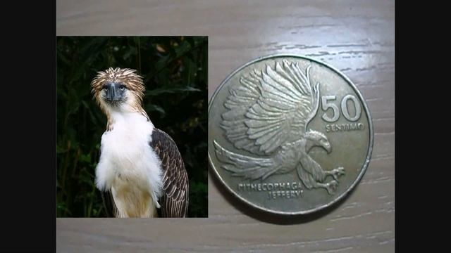 Гарпия! 50 сентимо Филиппины смотреть онлайн