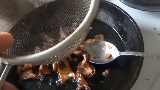 Грибы лисички и рыжики сбор и приготовление