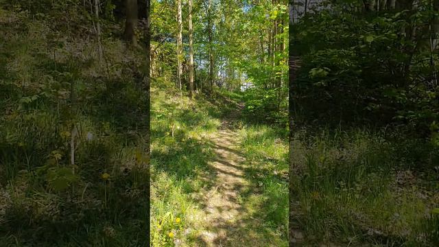 Тропинка в лето. Даугавгрива. Заповедник. смотреть онлайн