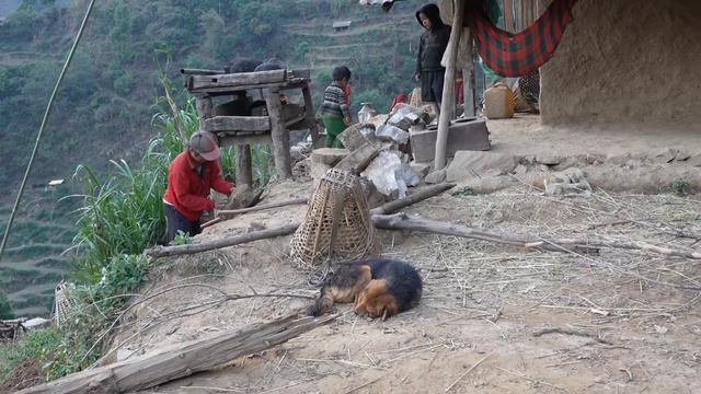Traditional Village Documentary || Nepali Primitive Village Life