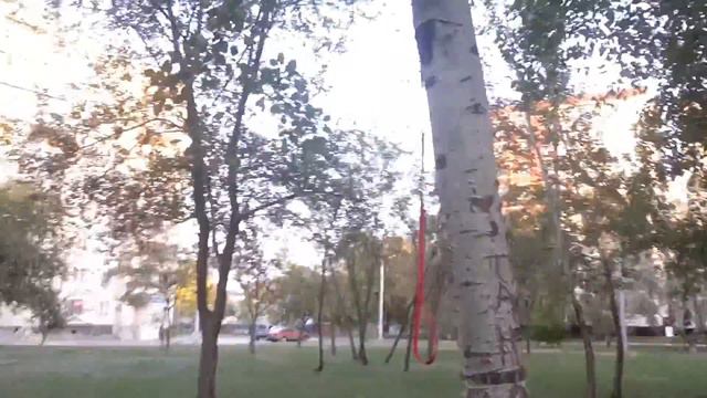 Мейн кун Яшка на прогулке. смотреть онлайн