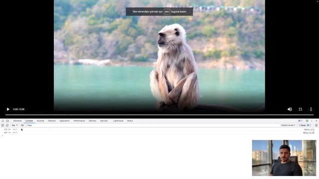 Fullscreen API - Web APIs смотреть онлайн