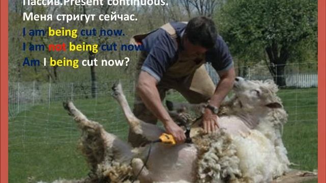 учить английский урок 60 present continuous актив пассив смотреть онлайн