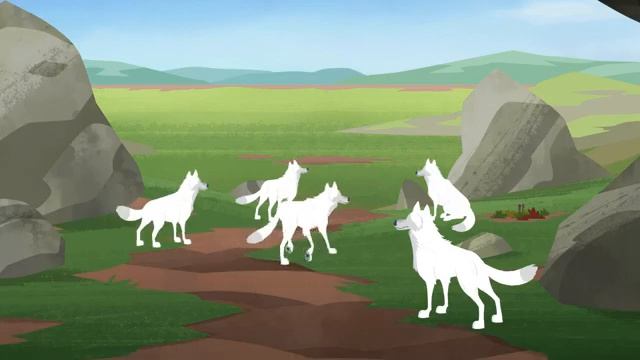 Ягняшка и Беззубик.Братья Кратт: Зов Природы. Новая серия. Канал Детишки смотреть онлайн