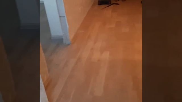 ГОТОВАЯ РАБОТА Tarkett Lounge смотреть онлайн