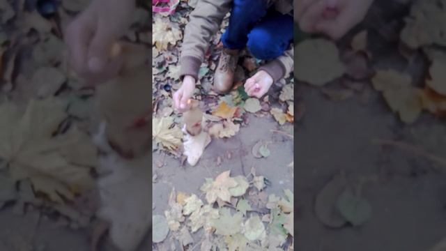Юля, кола и ментос смотреть онлайн