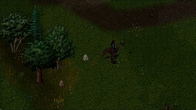 UO Second Age Gameplay (during Extra-Life Marathon) - 8 / 8 смотреть онлайн