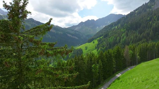 Мелодии природы: успокаивающая музыка помогает снять стресс🍀 смотреть онлайн