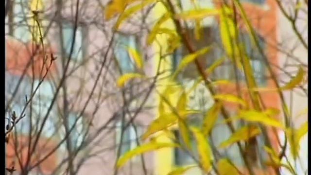 Осень_Нерюнгри_2008 смотреть онлайн