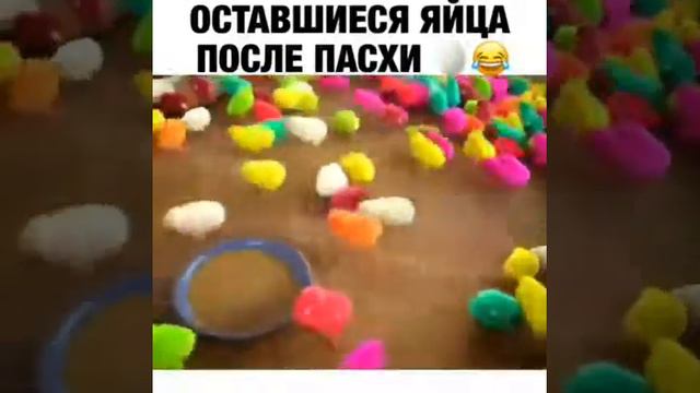 Оставшийся яйца после пасхи смотреть онлайн